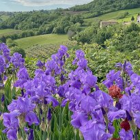 San Ginesio Le Marche
